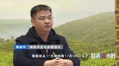 农产品直播带货_网红县长带货_农产品 滞销 数据