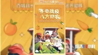 网红县长带货_农产品直播带货_农产品 滞销 数据