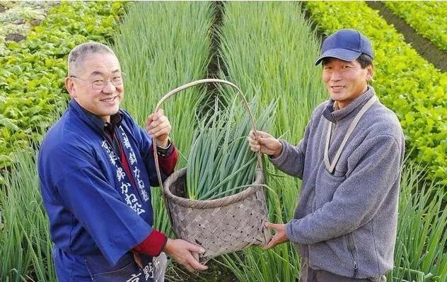 附加值高的农产品_中国农产品滞销原因分析_日本草莓西瓜按个卖原因