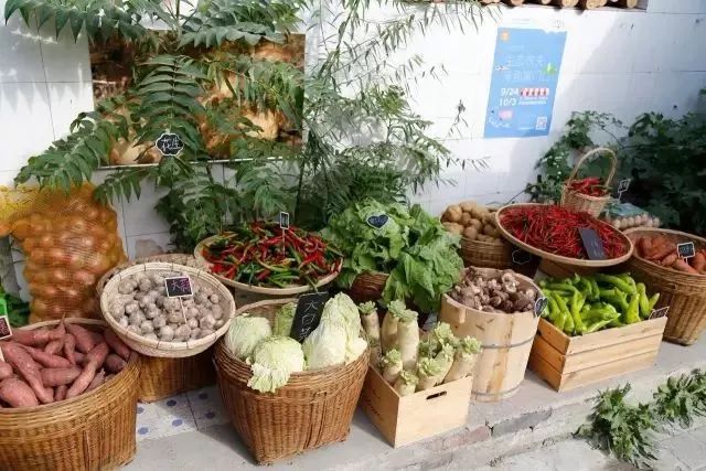 中国农产品滞销原因分析_日本草莓西瓜按个卖原因_附加值高的农产品