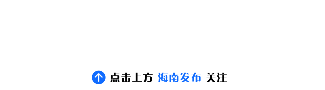 海南荔枝迎来丰收季，果农忙碌采摘，冷链货车整装待发