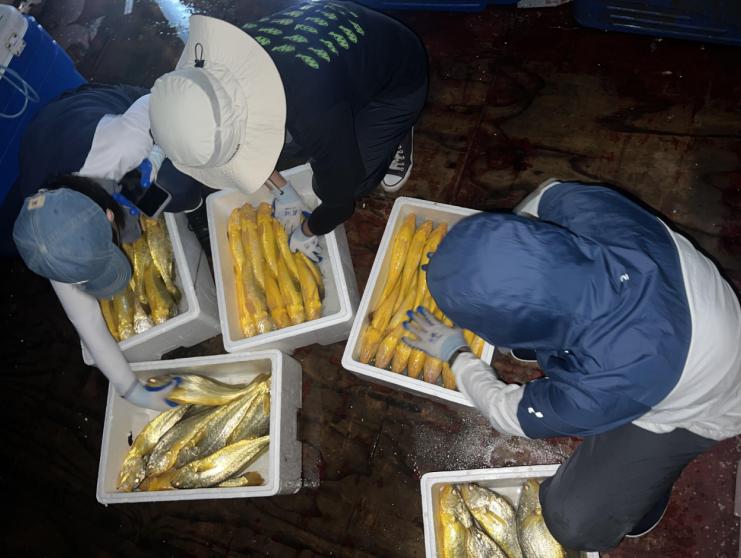 农产品品牌化经营_农业二三产业融合_中国农产品加工转化率