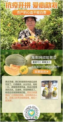 拼多多电商助农_农产品联盟_农产品产销对接公益服务联盟