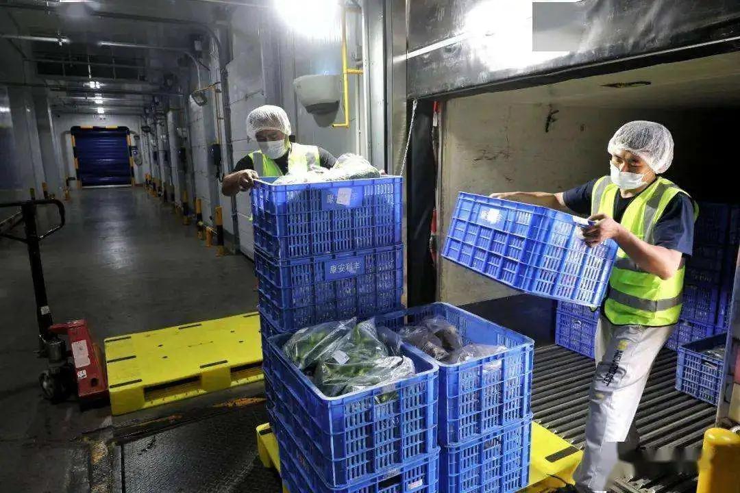 农产品宅配_农产品全程冷链N公里_农批市场冷链物流升级