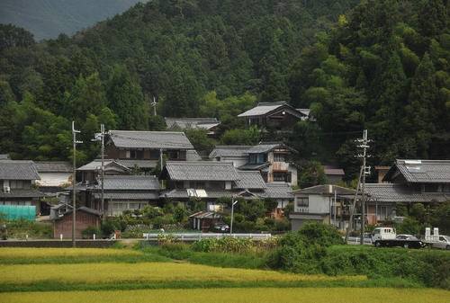 日本农协在农产品流通中的作用_农产品流通过程_日本鲜活农产品流通体系