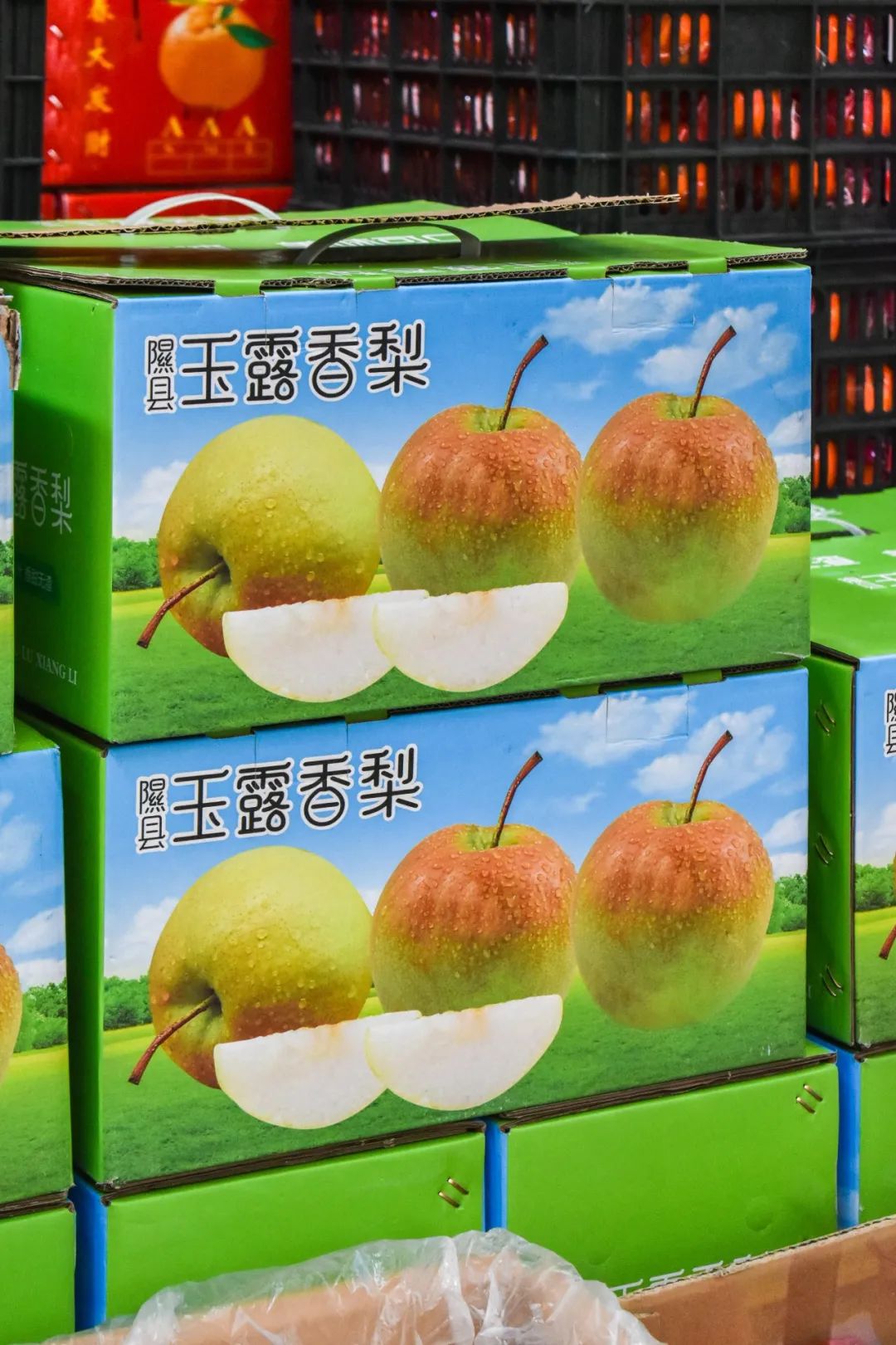 水果批发市场_西郊国际农产品地址_西郊国际农产品交易中心