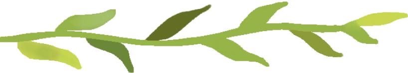 崇明羊肚菌种植_上海 农产品配送_上海春菜批发市场