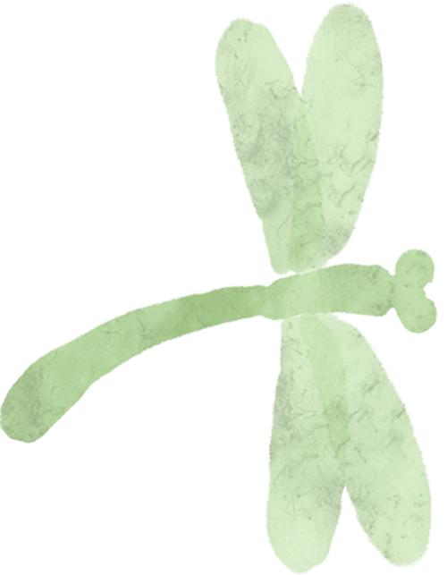 崇明羊肚菌种植_上海 农产品配送_上海春菜批发市场