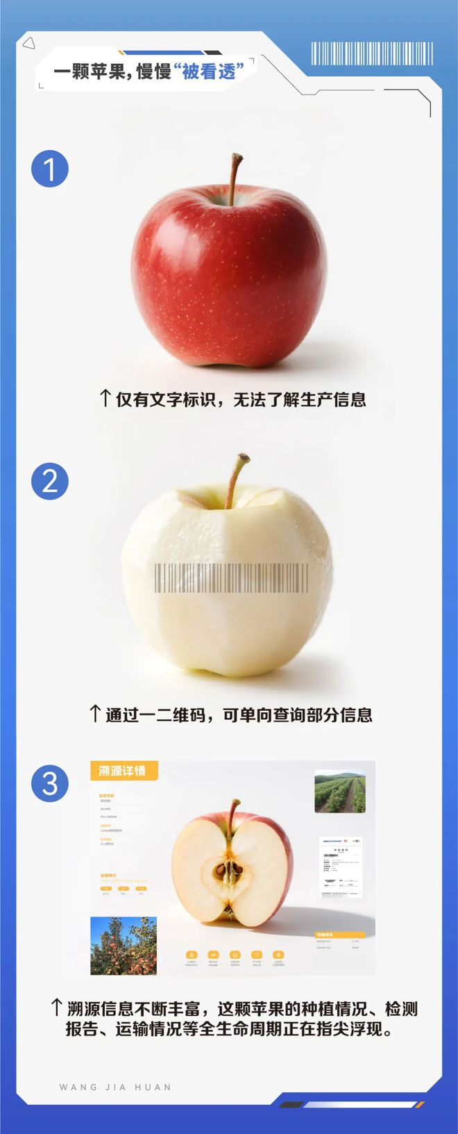 区块链在农产品溯源中的应用_农产品溯源技术发展_农产品溯源平台