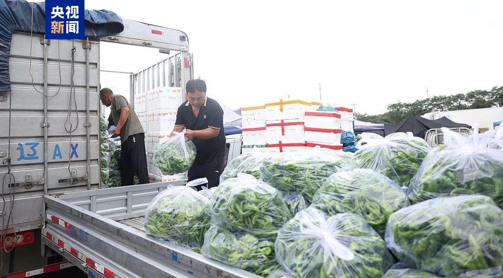 蔬菜价格上涨原因_全国农产品交易_中国蔬菜生产能力分析