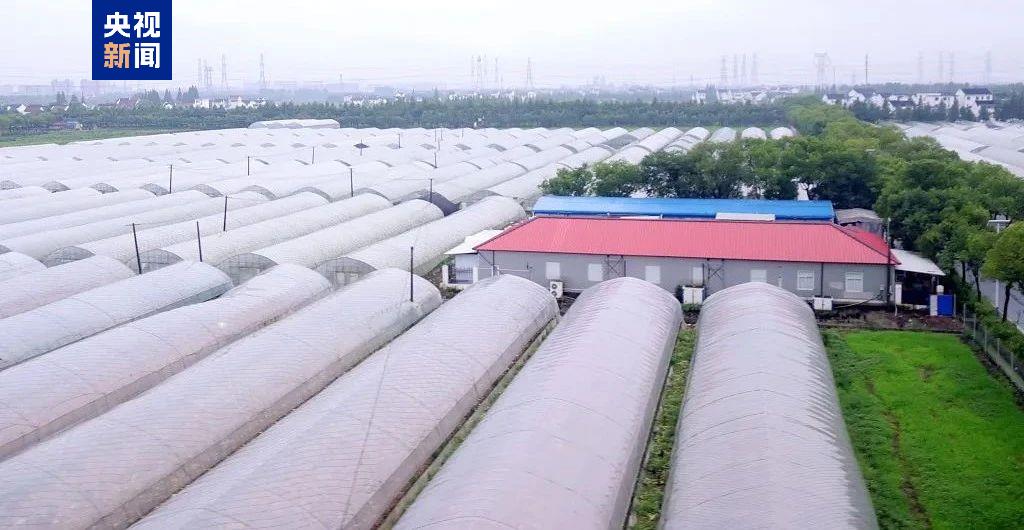 中国蔬菜生产能力分析_蔬菜价格上涨原因_全国农产品交易