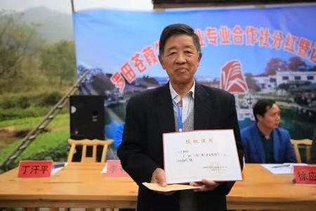 罗田县甜柿产业升级_荆楚乡村振兴新农人_大别山农产品批发市场
