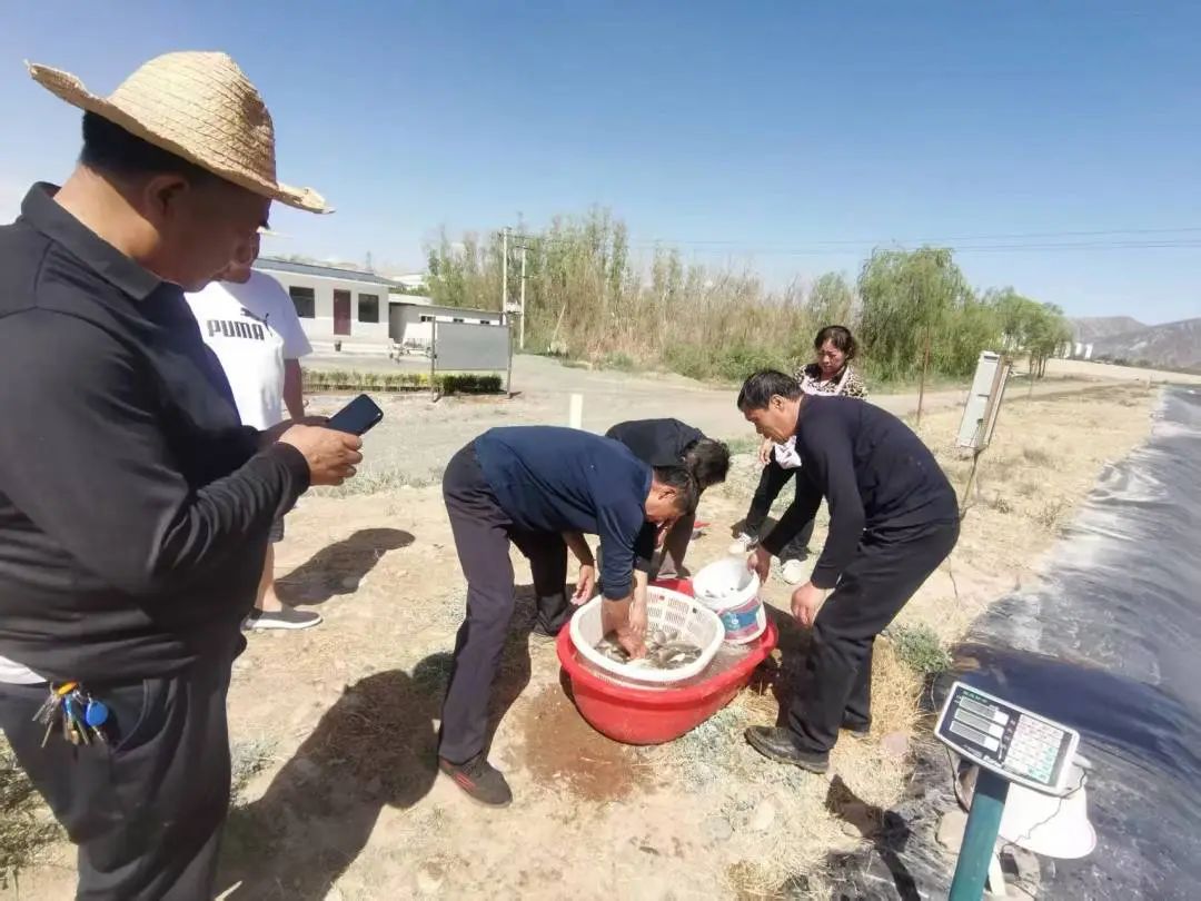 甘肃省畜禽产品质量安全监测_刘家峡库区网箱整治工作_永靖县农产品监测