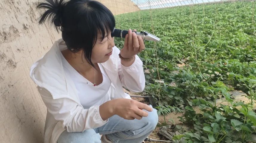 甘肃省畜禽产品质量安全监测_永靖县农产品监测_刘家峡库区网箱整治工作
