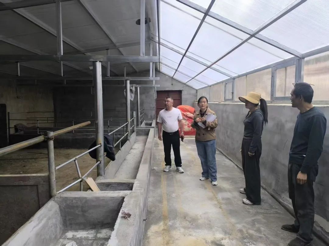 甘肃省畜禽产品质量安全监测_刘家峡库区网箱整治工作_永靖县农产品监测