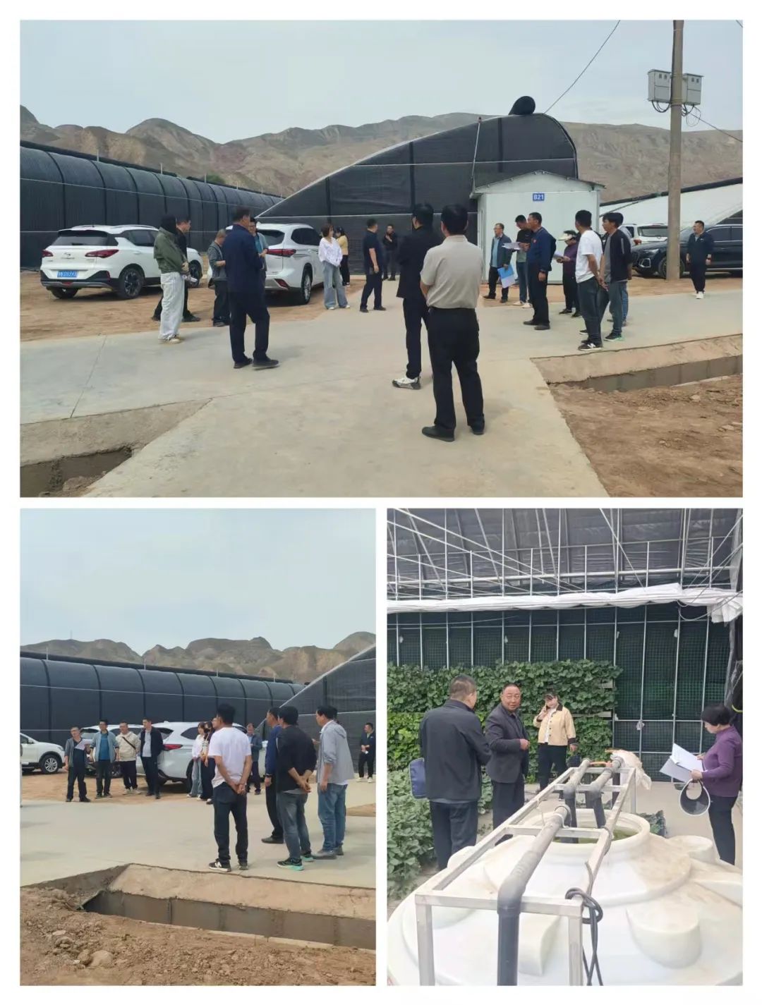 甘肃省畜禽产品质量安全监测_刘家峡库区网箱整治工作_永靖县农产品监测