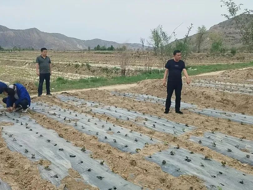刘家峡库区网箱整治工作_甘肃省畜禽产品质量安全监测_永靖县农产品监测
