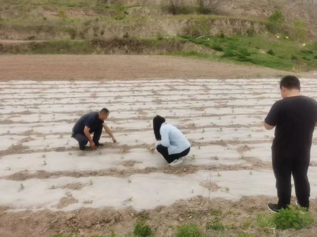 永靖县农产品监测_甘肃省畜禽产品质量安全监测_刘家峡库区网箱整治工作
