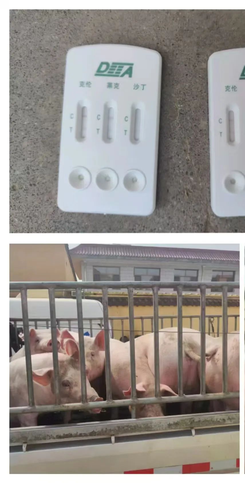 刘家峡库区网箱整治工作_甘肃省畜禽产品质量安全监测_永靖县农产品监测