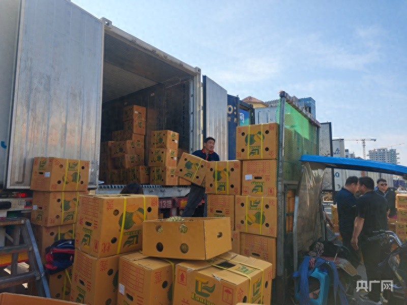冷链物流荔枝配送_河北省农产品电子交易中心_首衡高碑店市场