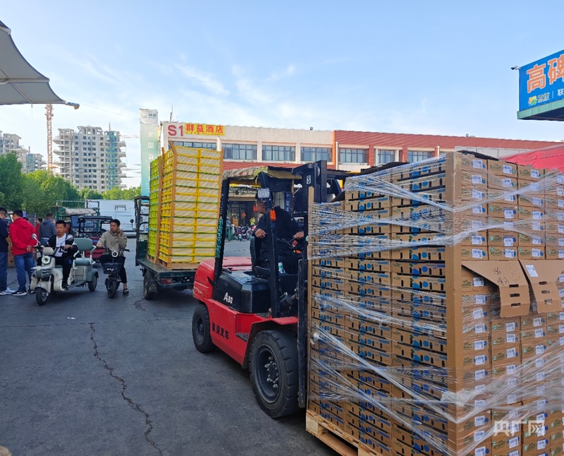 河北省农产品电子交易中心_冷链物流荔枝配送_首衡高碑店市场