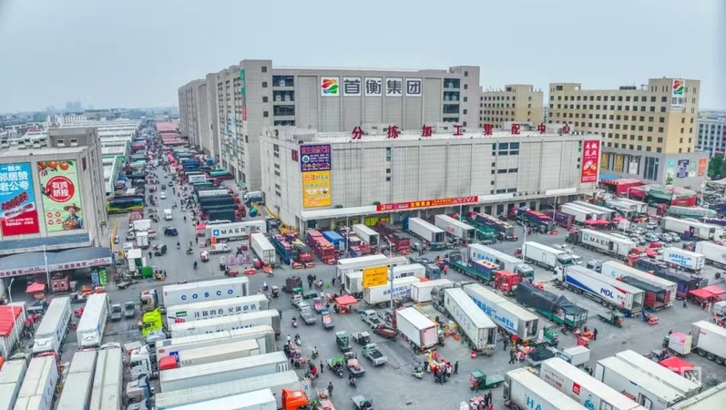 首衡高碑店市场_冷链物流荔枝配送_河北省农产品电子交易中心