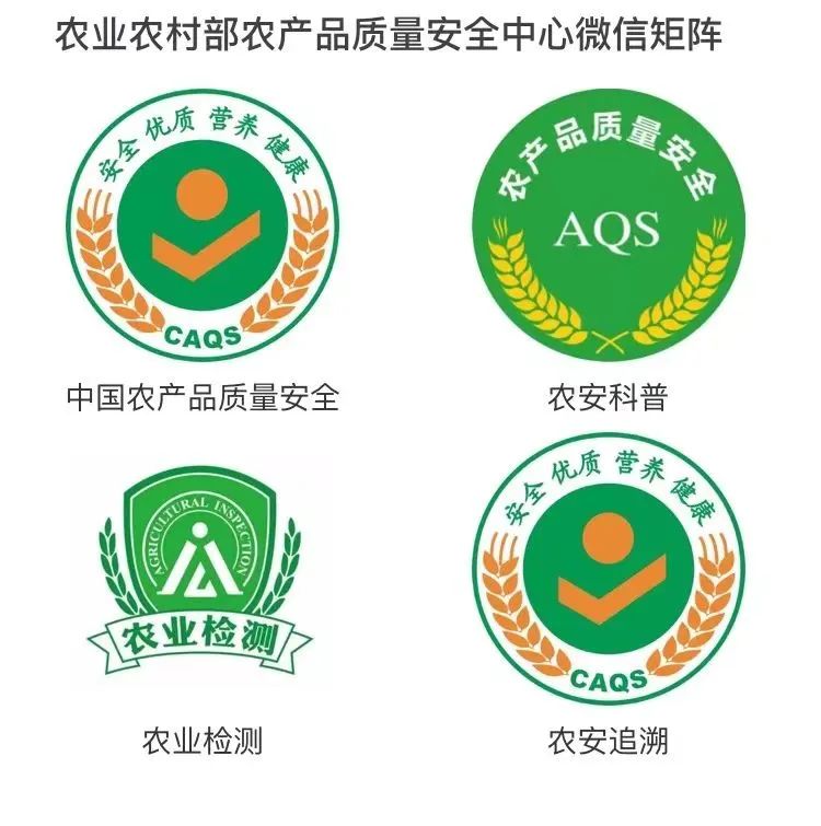 福鼎槟榔芋品质特征_福鼎槟榔芋产地_福鼎市佳阳乡的农产品