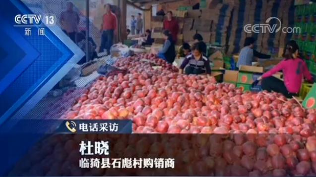 临猗县政府声明_临猗苹果滞销事件_最新农产品滞销信息