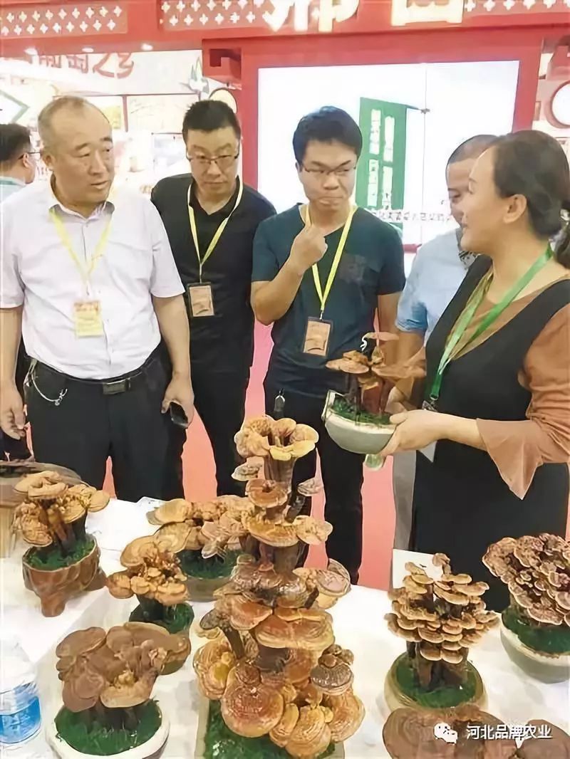第二十一届农交会_全国农产品交易会_中国廊坊农产品交易会