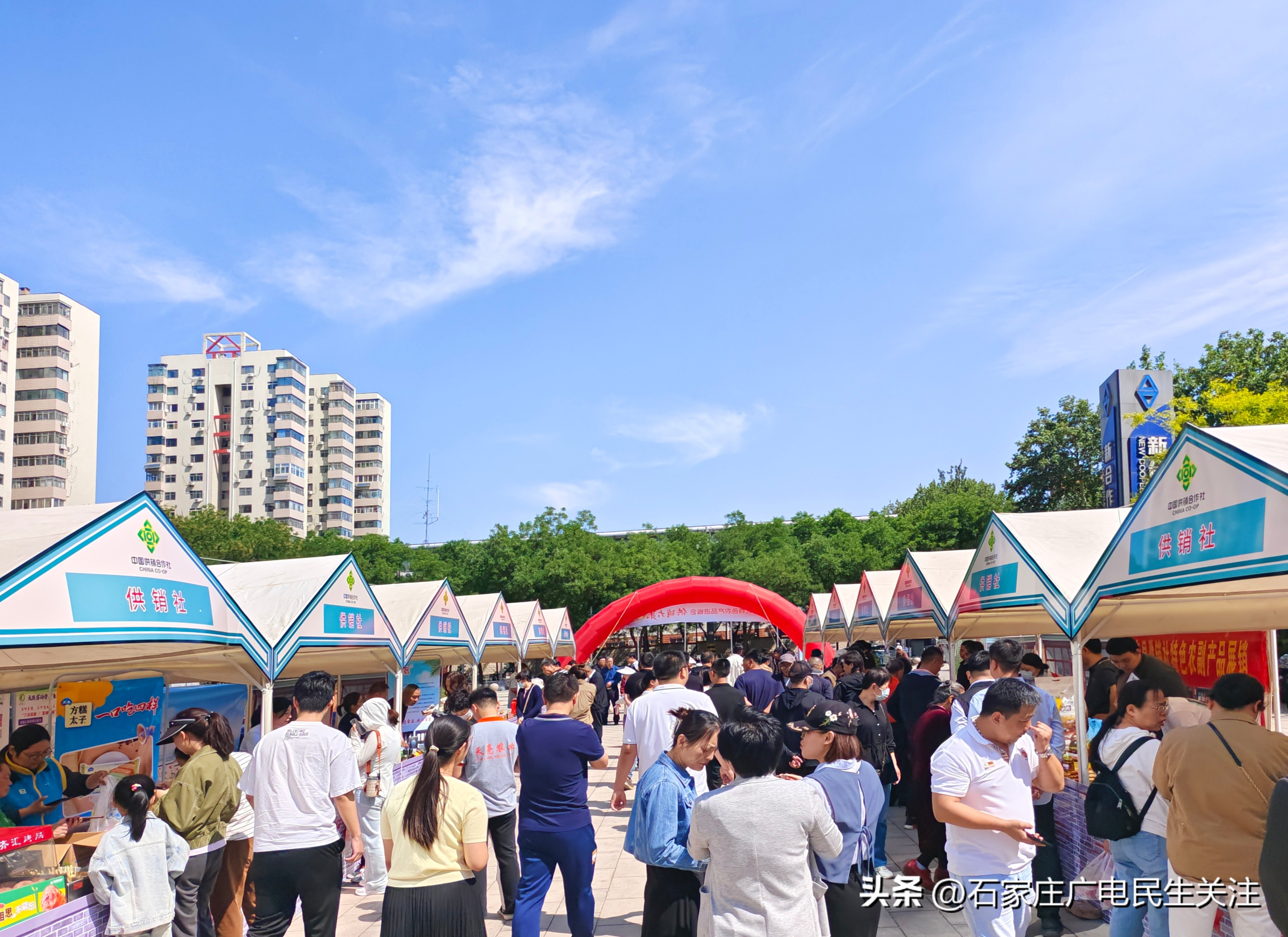 河北特色农产品进省会_中国供销农产品批发市场控股有限公司_供销大集邯郸专场