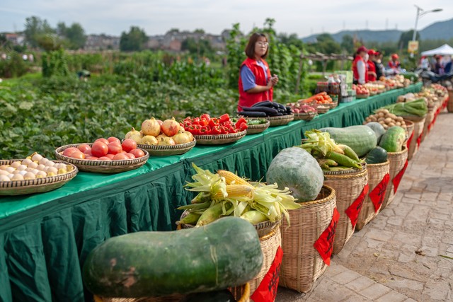 中国特色农产品_有机蔬菜种植技术_特色农产品种植