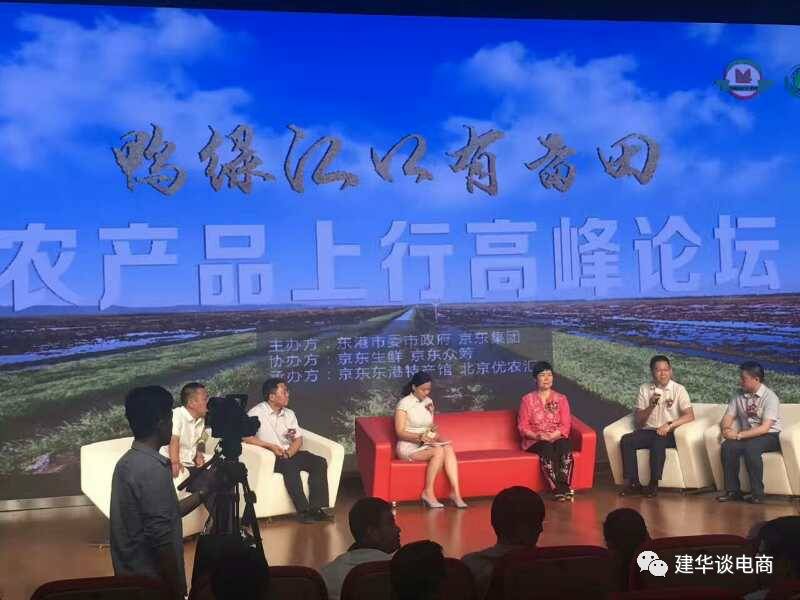 农村电商B2B平台分析_农产品上行电商模式_农产品上行难点