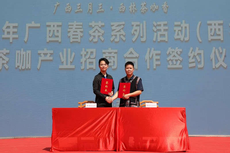 西林茶叶产业招商活动_广西春茶系列活动西林站_茶叶 食用农产品