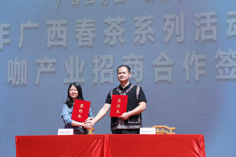 广西春茶系列活动西林站_茶叶 食用农产品_西林茶叶产业招商活动