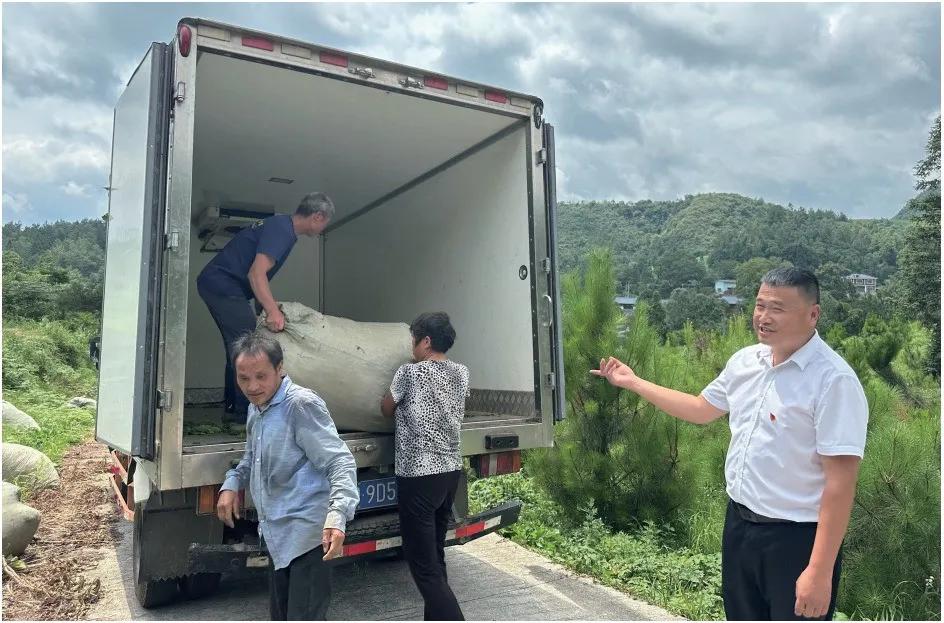 湄坨村茶叶加工厂_印江的特色农产品_印江自治县茶叶产业振兴