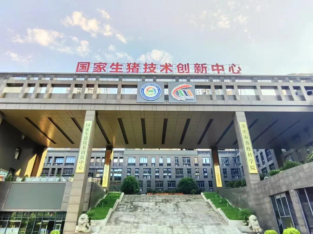 重庆乡村产业振兴_巴渝特色名优“金名片”_茶叶 食用农产品