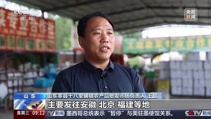 蔬菜价格上涨原因_立秋后蔬菜价格走势_蔬菜批发网 最大的线上农产品