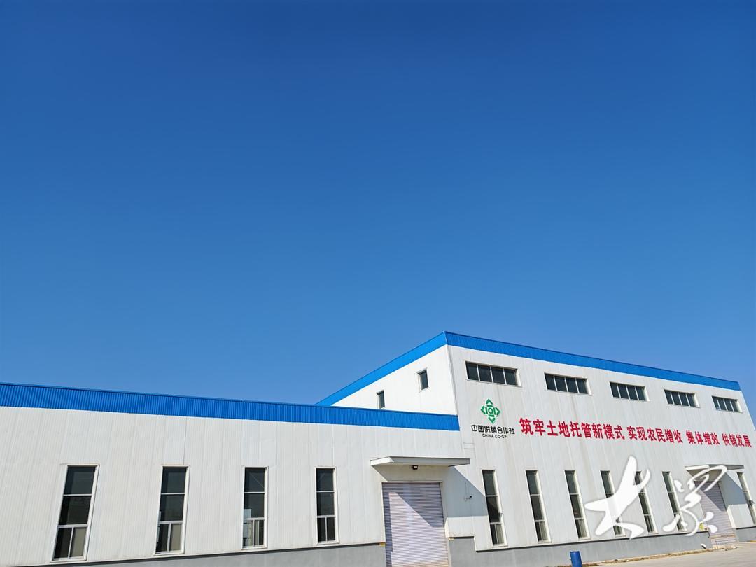农业社会化服务模式_土地股份合作全程托管_山东省供销社农产品有限公司