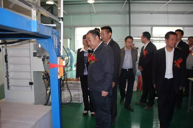 两当环宇生态农业科技有限公司_有机农产品精深加工厂_农产品生态种植及精深加工