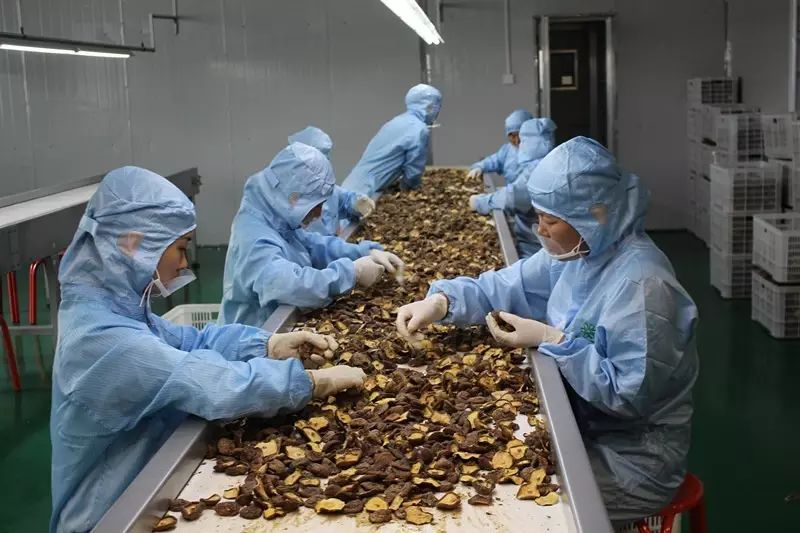 农产品生态种植及精深加工_两当环宇生态农业科技有限公司_有机农产品精深加工厂