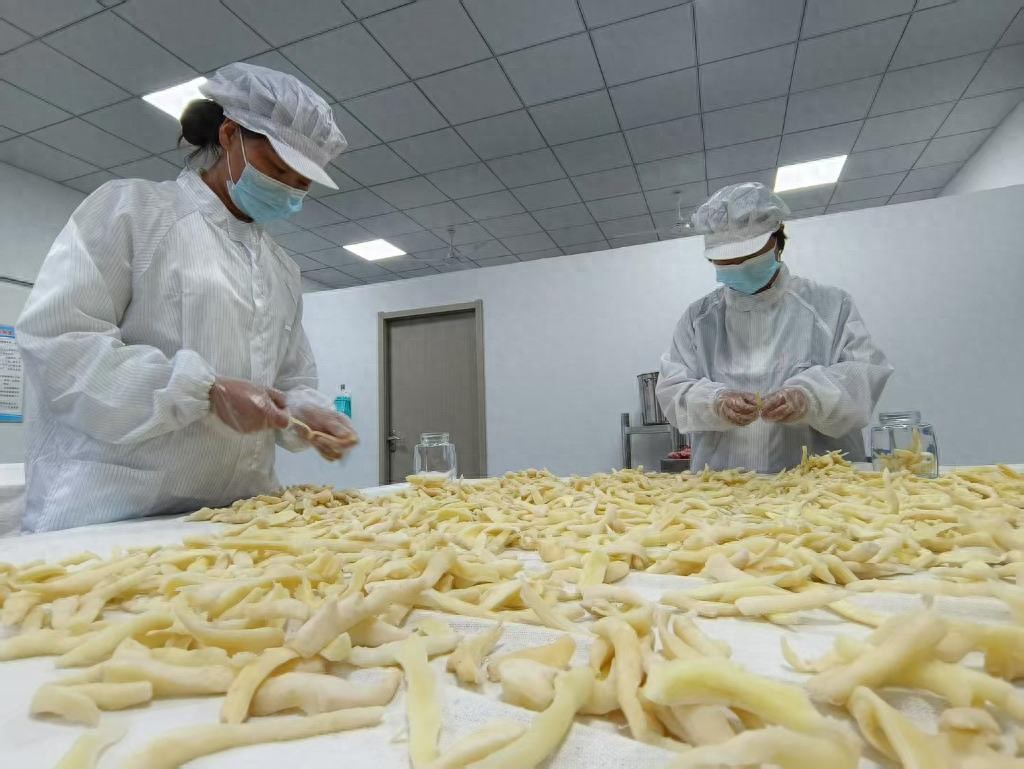土特产品牌建设_农产品附加值_林下经济延链增效