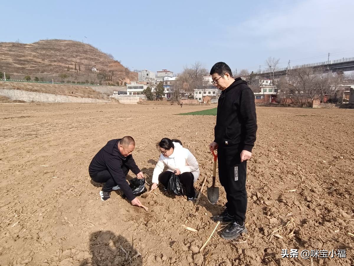 农产品生产方式_商洛农产品质量监测数据_商洛农产品质量安全调查
