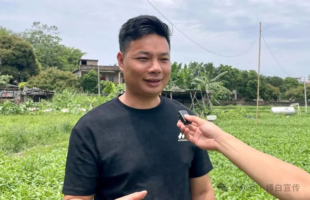 网络达人拍摄博白空心菜_特色农产品网络营销_博白空心菜直播推广