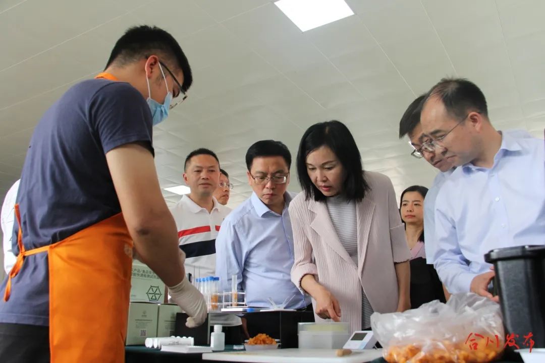 农产品质量安全监管_枇杷种植产业发展_农产品质量安全讲义