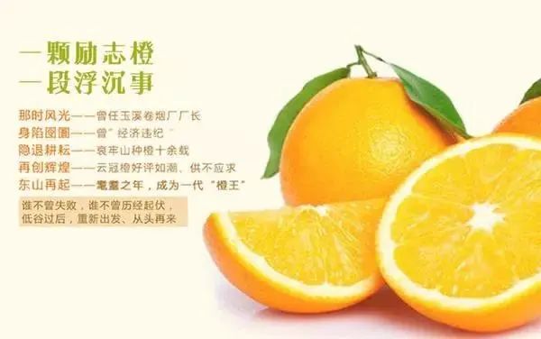 干货属于农产品吗_农产品文案写作技巧_激发客户购买农产品文案