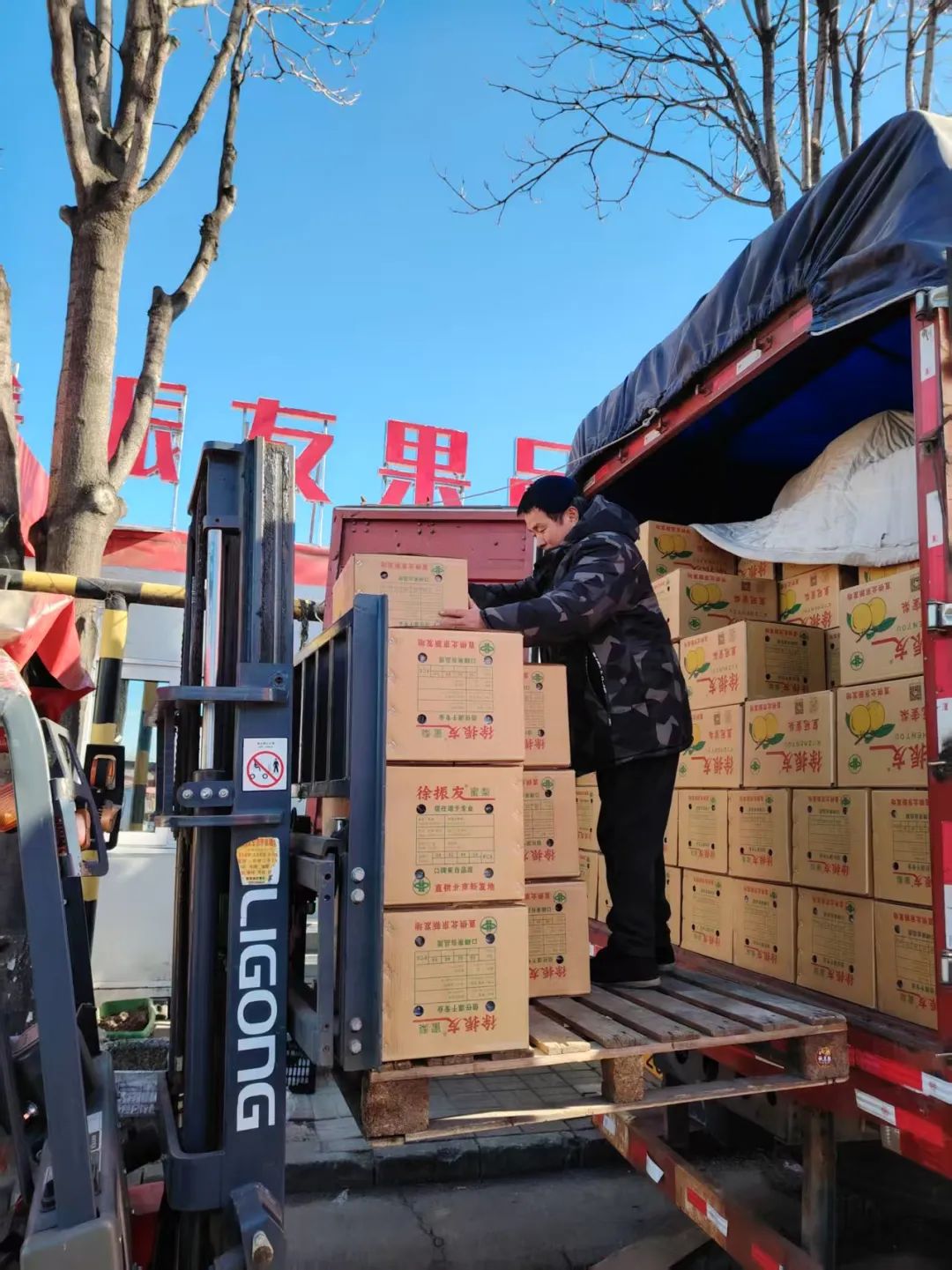 新发地凌晨蔬菜批发市场_春节新发地农产品供应_北京 农产品批发市场