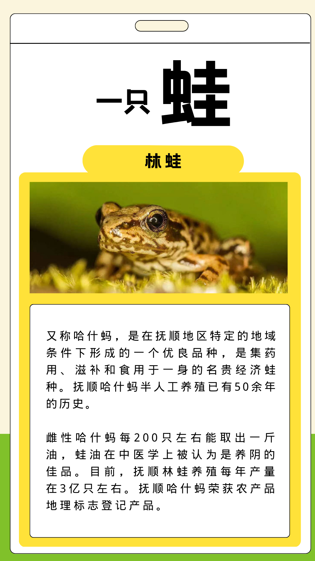抚顺特色农产品_辽东绿色屏障_什么特色农产品