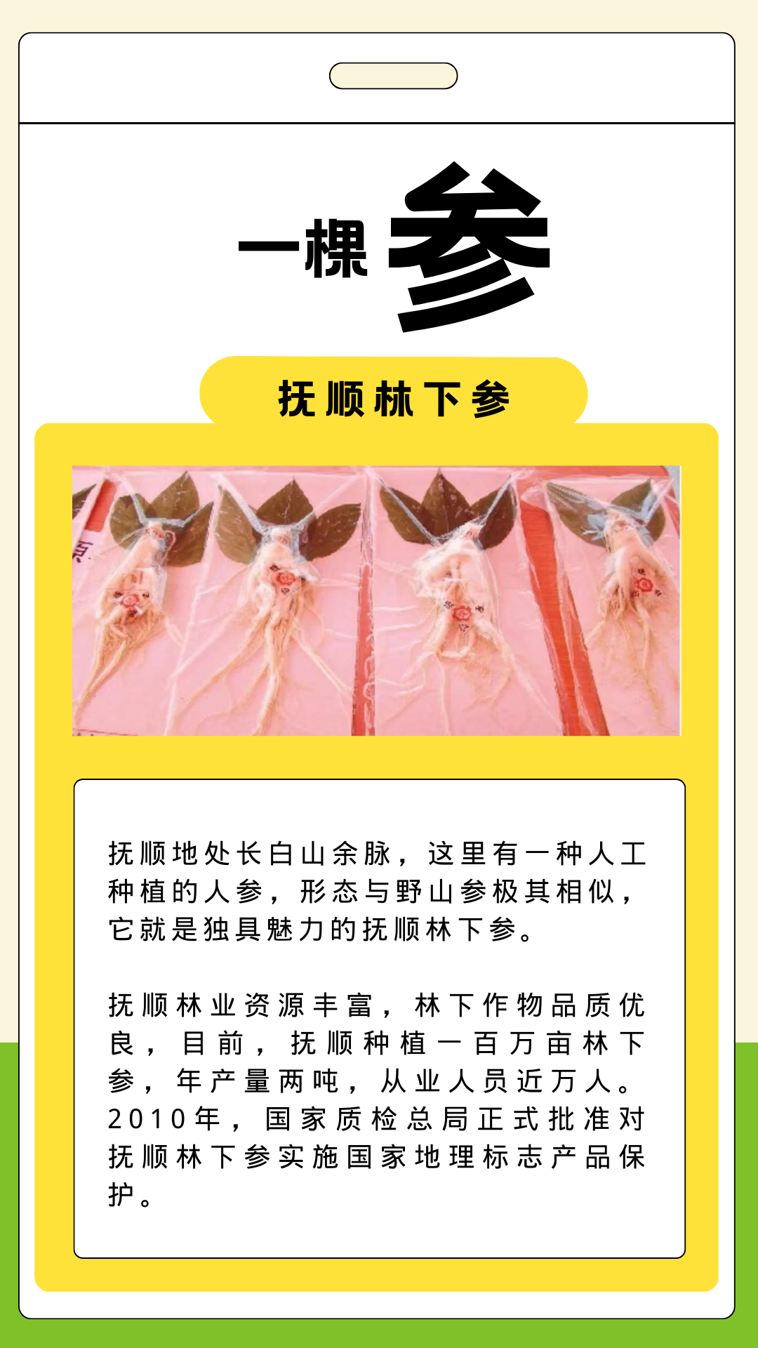 什么特色农产品_抚顺特色农产品_辽东绿色屏障