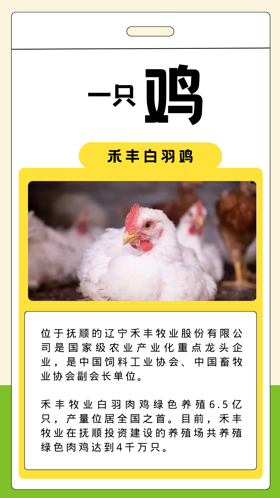 什么特色农产品_辽东绿色屏障_抚顺特色农产品