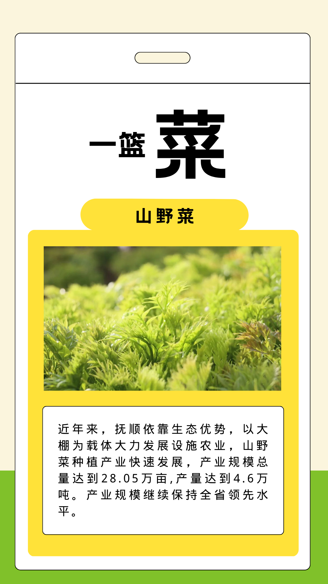 抚顺特色农产品_什么特色农产品_辽东绿色屏障